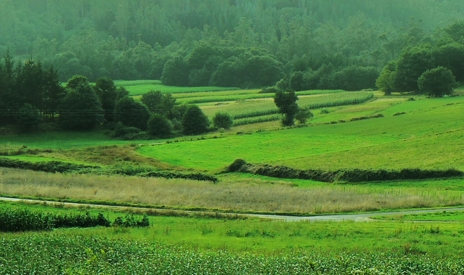 Mismos precios de referencia para el Banco de Tierras en 2016 Creando