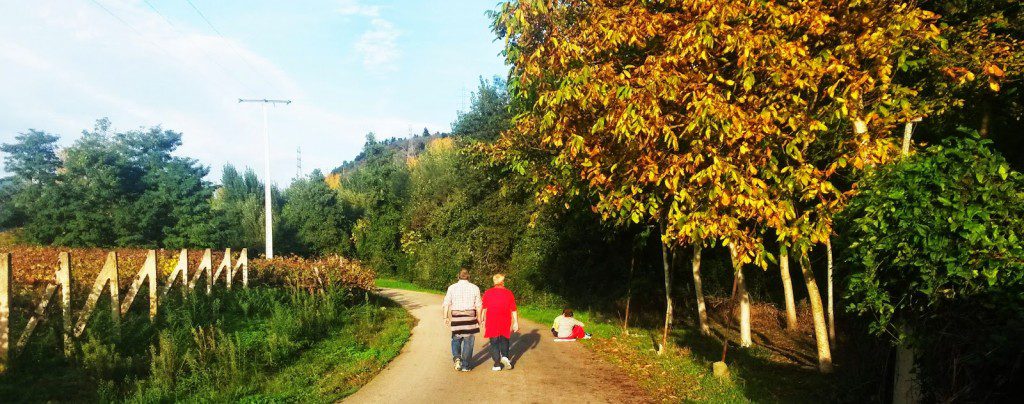 Una pareja pasea por A Veiga de A Rúa mientras dos mujeres charlan debajo de unos nogales