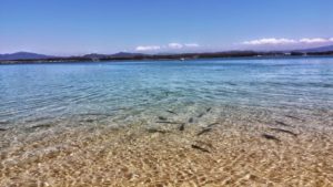 Agua cristalina en la Illa de Arousa