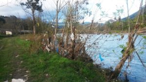 Plásticos en los márgenes del río Sil a su paso por Valdeorras