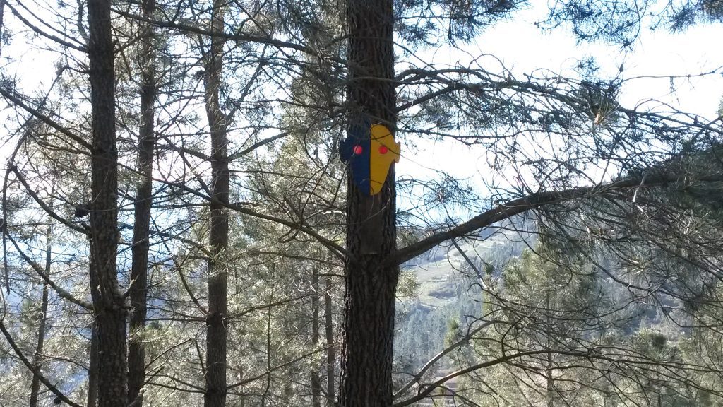 Máscara sobre los árboles en el Camiño de Inverno hacia los Alvaredos desde A Rúa