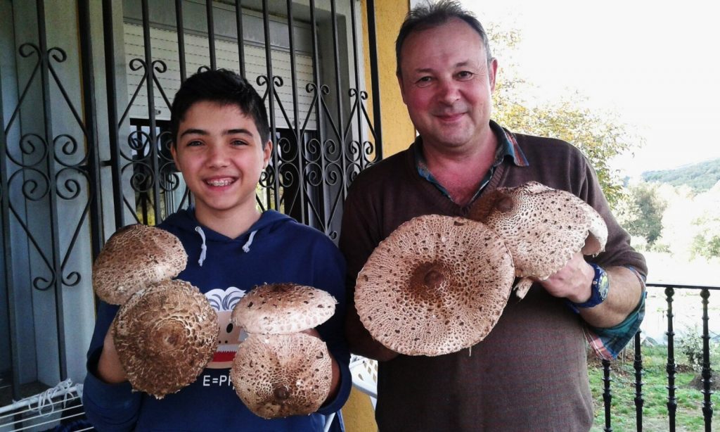 Padre e hijo muestran orgullosos setas recogidas en A Veiga
