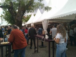 Mostra de Viños de Pantón