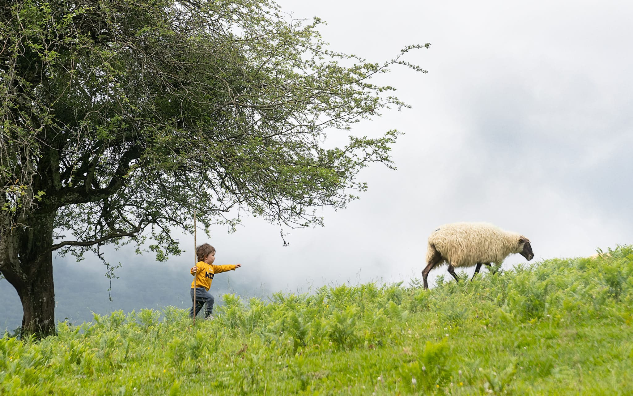 10 ayudas para emprender en el mundo rural en 2025