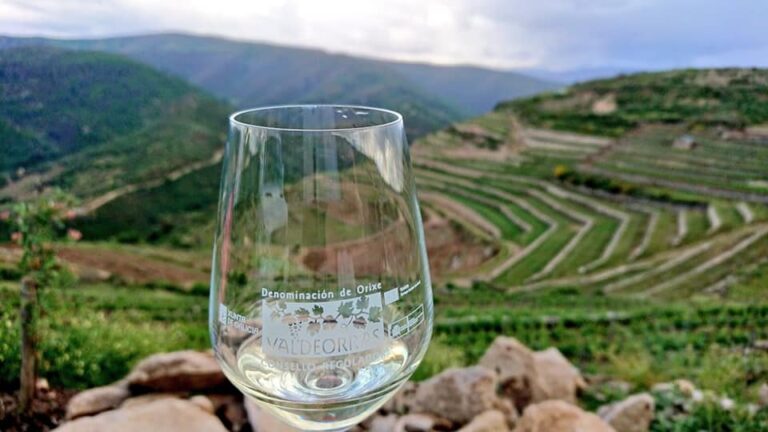 Copa de vino de la Denominación de Origen Valdeorras con viñedos de la denominación al fondo