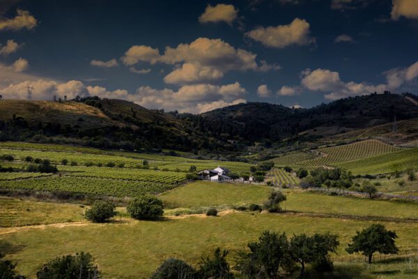 Bodega Luna Beberide (El Bierzo)