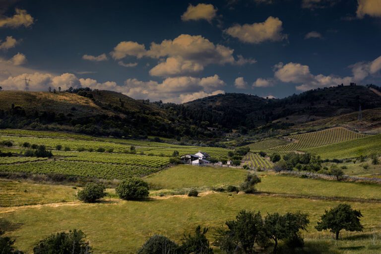 Bodega Luna Beberide (El Bierzo)