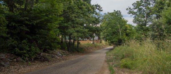 Cooperativa de Castañas – GISTREDO