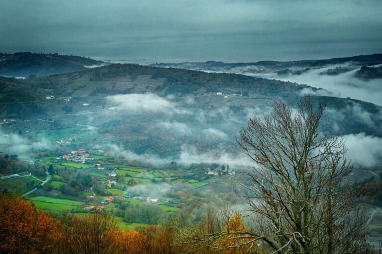 Ruta dos Bosques Máxicos Ribeira Sacra