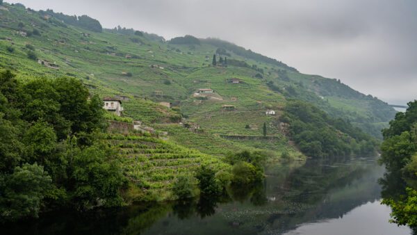 Ruta del Vino Ribeira Sacra. zona Chantada en primavera
