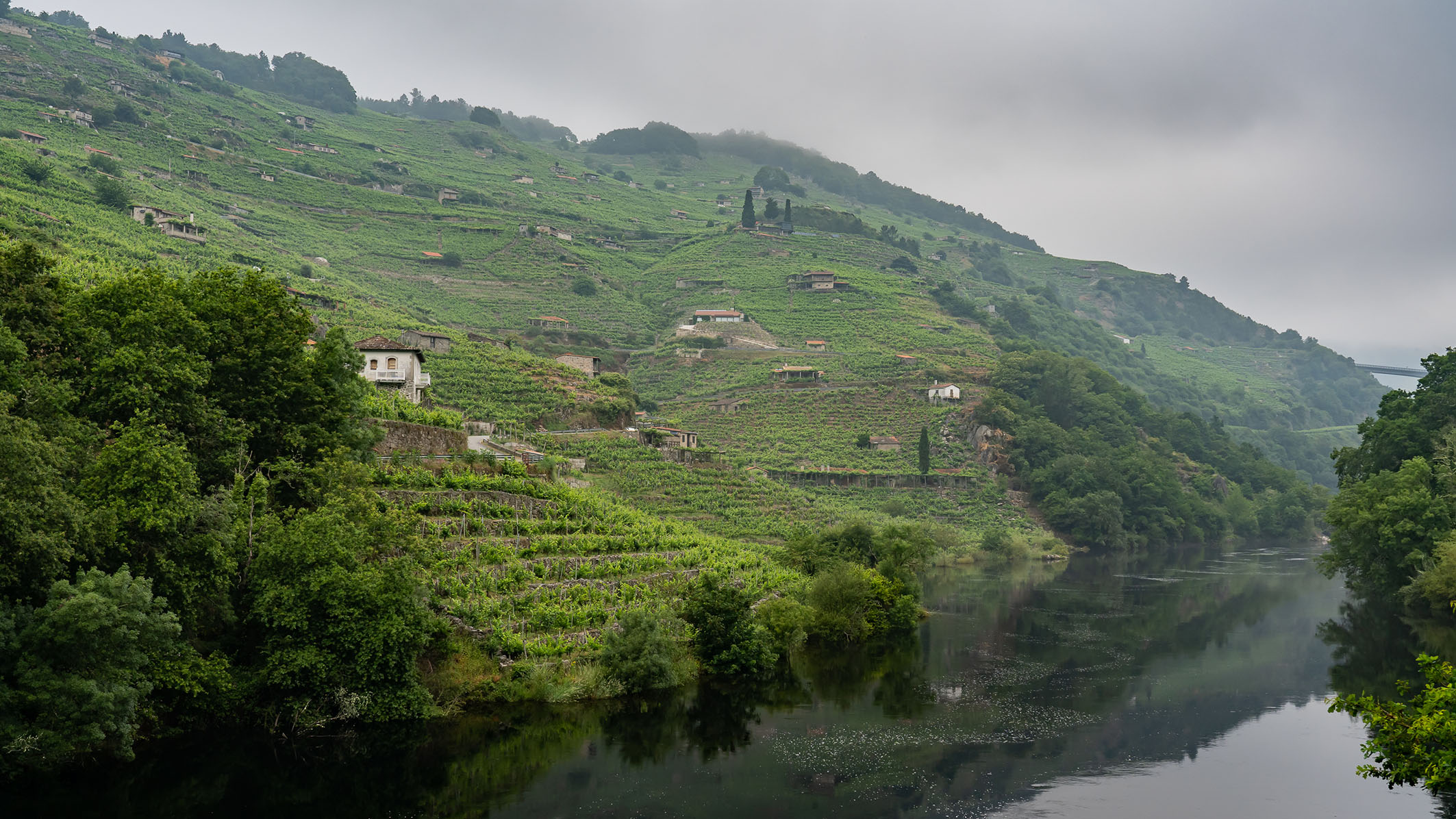 Ribeira Sacra, nueva Ruta del Vino de España certificada